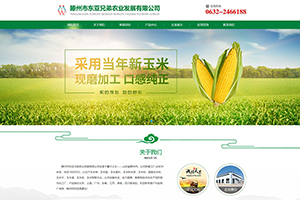 滕州市東亞兄弟農業發展有限公司